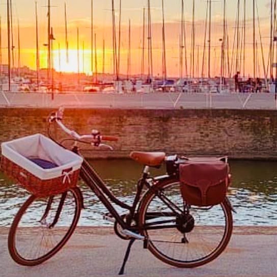 Bici da città grigio tortora con cestino in vimini
